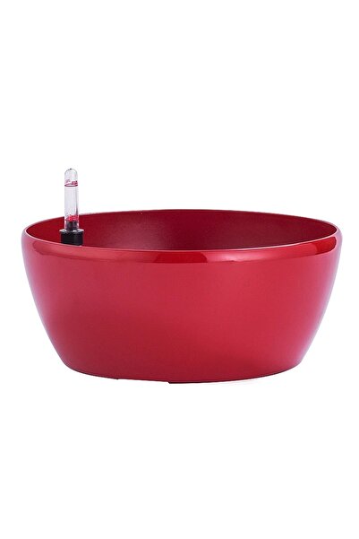 Roberto Rossi Ghiveci inteligent H8xD18 cm RobertoRossi Clasic Bowl rosu lucios
