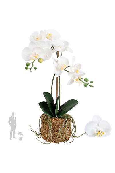 Roberto Rossi Orhidee artificiala alba cu aspect H52 cm cu 2 tulpini