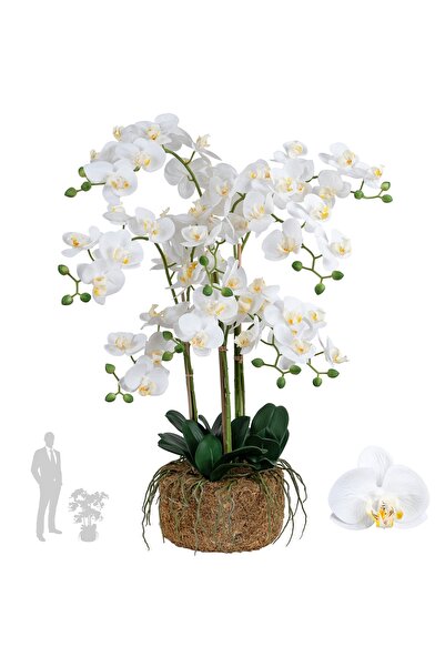Roberto Rossi Orhidee artificiala alba cu aspect H80 cm cu 9 tulpini