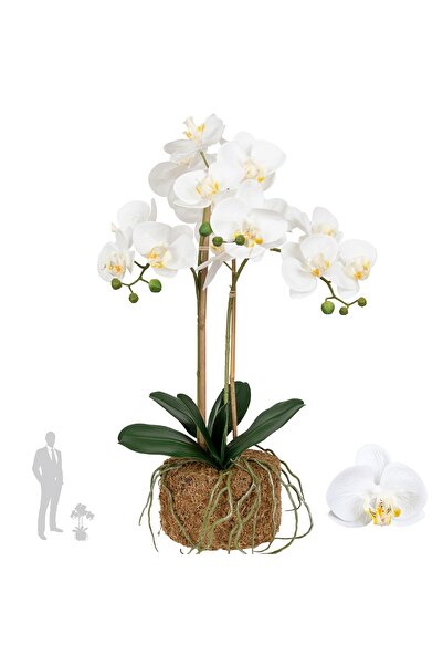 Roberto Rossi Orhidee artificiala alba cu aspect H56 cm cu 2 tulpini