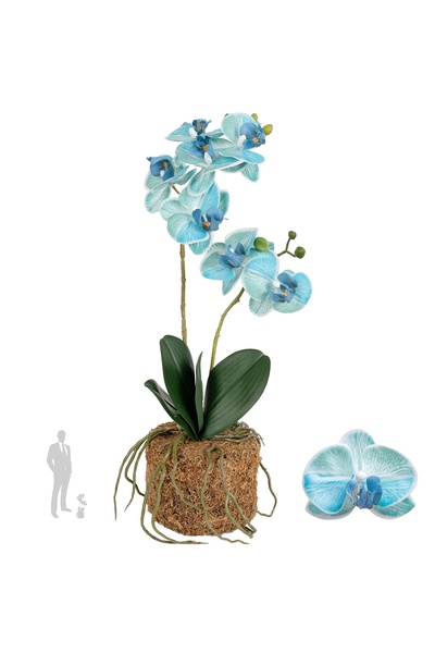 Roberto Rossi Orhidee artificiala albastru turquoise cu aspect H46 cm cu 2 tu...