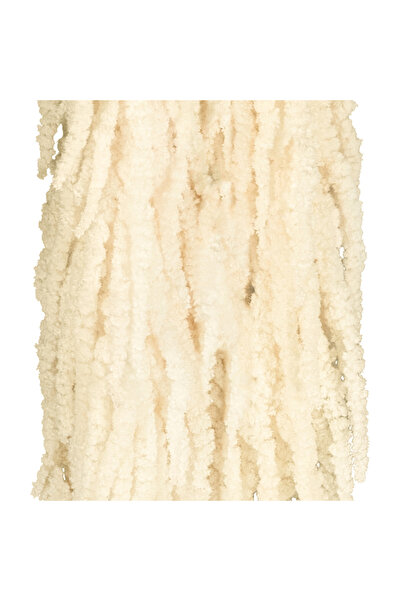 Roberto Rossi Crenguta conservata de Amaranthus H70-80 cm ivory