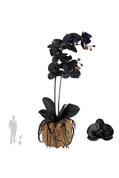 Roberto Rossi Orhidee artificiala neagra cu aspect H51 cm cu 2 tulpini