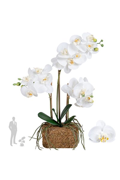 Roberto Rossi Orhidee artificiala alba cu aspect H54 cm cu 3 tulpini