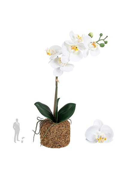 Roberto Rossi Orhidee artificiala alba cu aspect H43 cm cu 1 tulpina