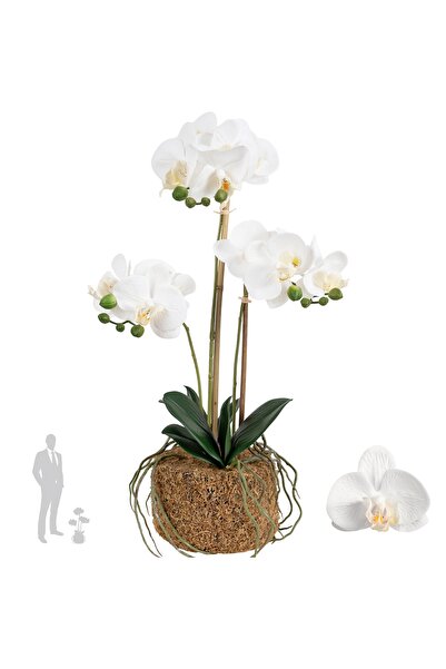 Roberto Rossi Orhidee artificiala alba cu aspect H54 cm cu 3 tulpini