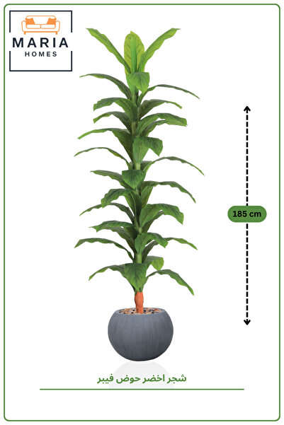 MARIA HOMES 185 CM Artificial Dracaena Corn Plant with Grey Fiber Pot Tall In...