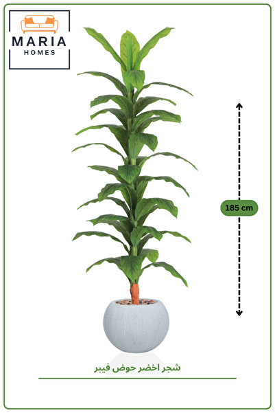 MARIA HOMES 187 CM Artificial Dracaena Corn Plant with Light gray Fiber Pot T...