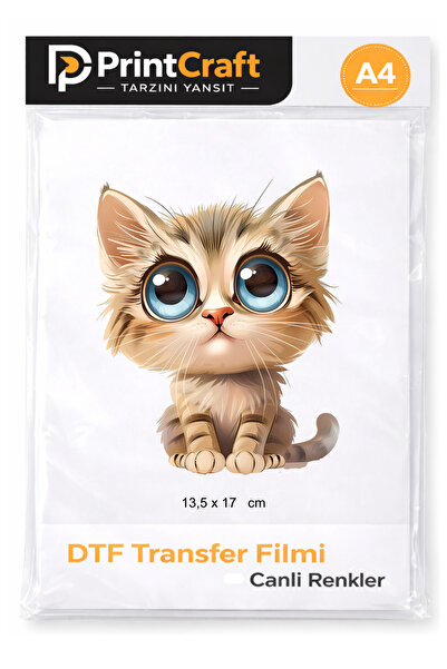 Palo Santo 13,5x17 cm Kedi Modeli Ütü ile Yapışan DTF Transfer Baskı (A4)