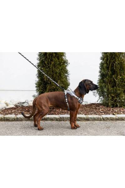 KERBL Y Type Sport Dog Chest Harness 15 mm (30-50 / 50-60 cm) - Fitty Series - S