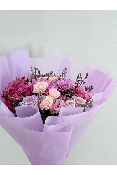 OCMS باقة التشيك