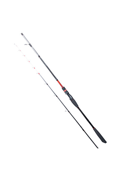 RYUJI Spectra SP 198cm 70-300gr 2 Parça Bot Kamışı