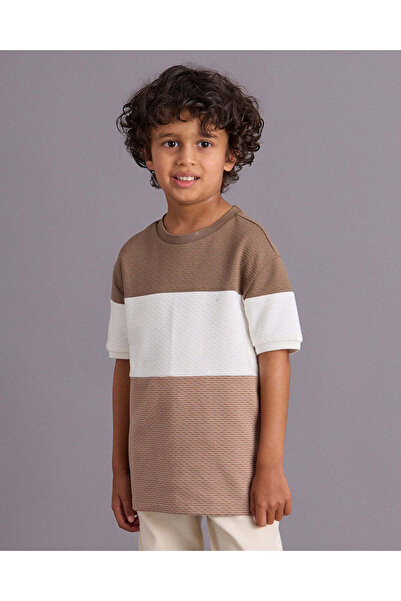 REDTAG Boys Beige Striped T Shirt