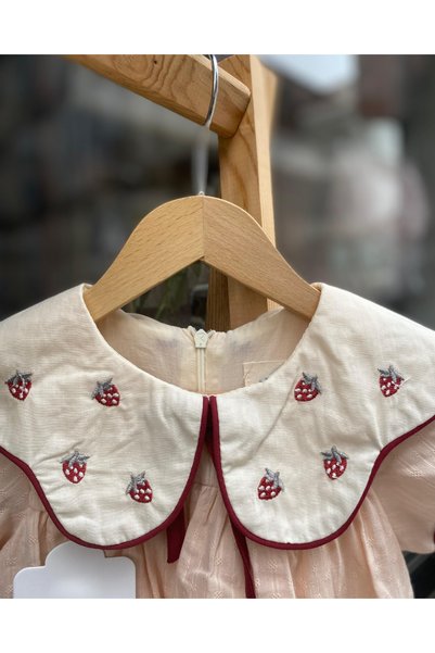 Lily and Co Lily Co Baby Collar Strawberry Pattern Baby Girl Dress