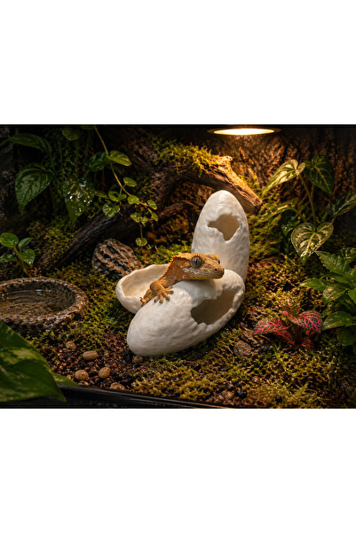 ecraft3D Dinozor Yumurtası Sürüngen Mağarası XL
