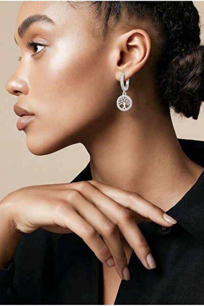 Monalisa Home Figured Zircon Stone Earrings