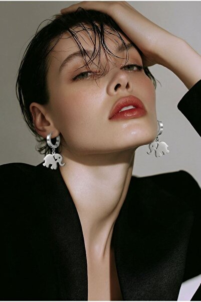 Monalisa Home Figured Steel Earrings