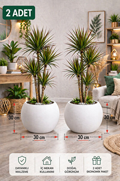 CANBOTANİK Şık Modern 30 cm Küre Saksı Salon Saksı Dekoratif Saksı 2 Li Ekono...