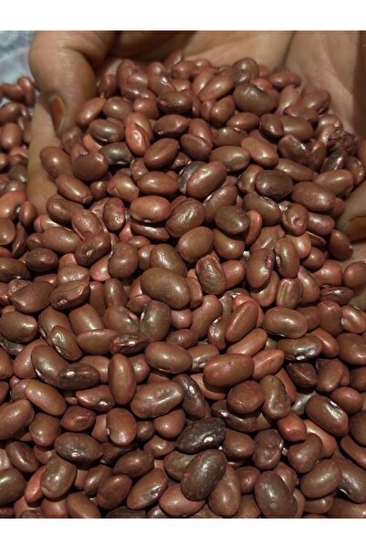 Rem Sarıkız Fasulye 40 günlük İlaçlı fasulye 1 kg