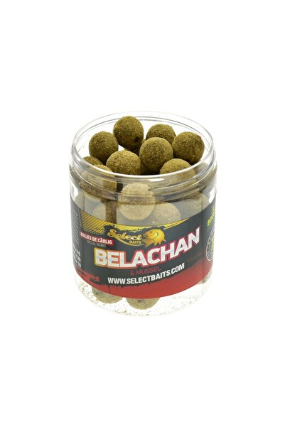 Select Baits Ειδικά σκληρυμένα δολώματα γάντζου μπούιλι Belachan 16mm