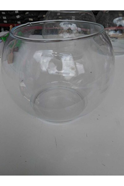 Jolly Fish Pr FANUS CAM ORTA 18 CM