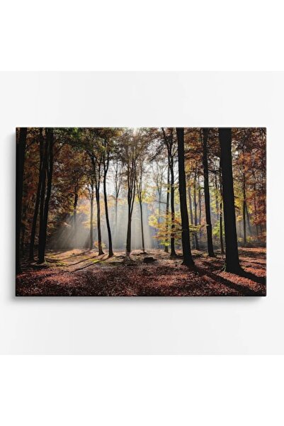 OEM Tablou pe pânză premium WOWCanvas, Lumini prin Pădurea de Toamnă, 90 x 60 cm