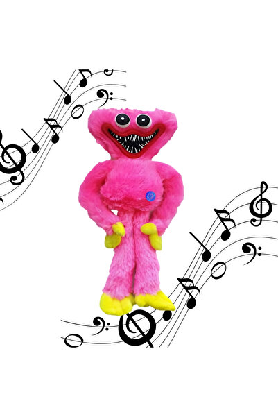 DrKala Διαδραστικό Παιχνίδι με Ομιλούμενο Χάγκι Ουάγκι και Κίσι Μίσι, Μιμείτα...