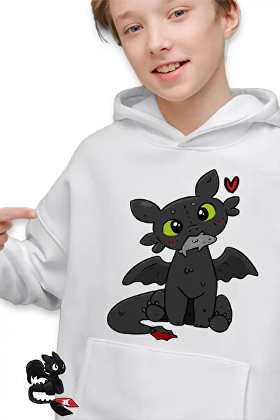 OEM Παιδικό Φούτερ για Αγόρια: Αδόντιος Δράκος Νυχτερινή Οργή - Πώς να εκπαιδ...