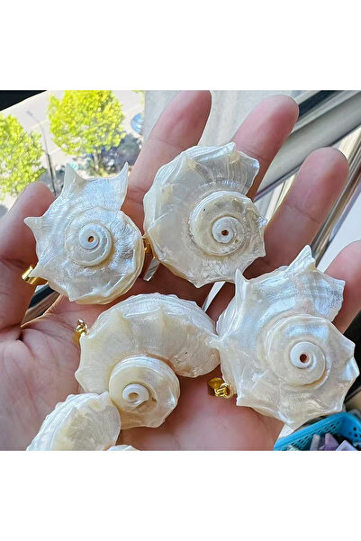 Choice 25-40mm 10pcs Natural Shell Pendant Conch White Shell Pendant Charms f...