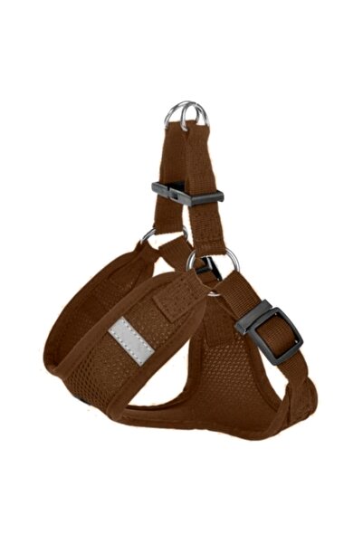 Anion Care Σαμπιόνι για μικρά σκυλιά με ανακλαστικά στοιχεία