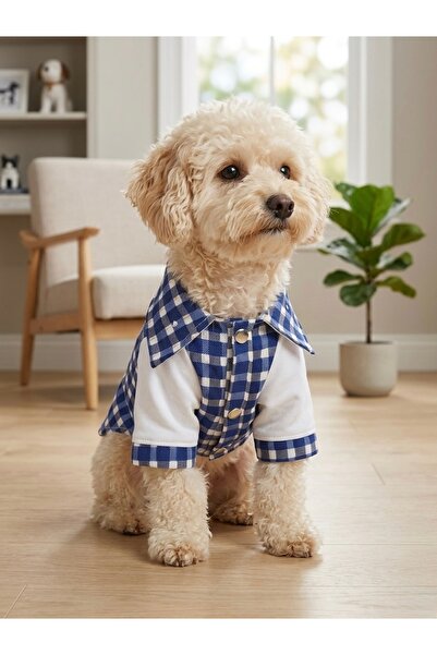 bellorsi Premium Özel Tasarım Küçük Irk Kedi ve Köpek Kıyafeti Yazlık Çıtçıtl...