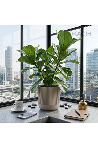 okacih Modern Ribbed Çizgili Saksı 18 cm 4 Litre Dekoratif İç Mekan Saksı