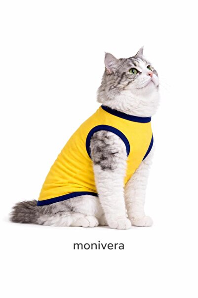 Modetra New Season Summer Unprinted Solid Color Ribbed Cat & Dog Outfit - Und...
