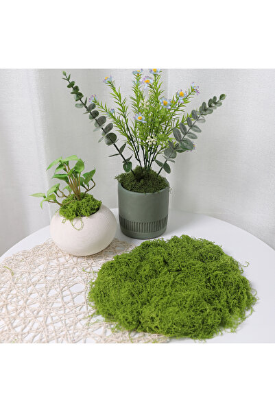 Choice4 طحلب اصطناعي أخضر B-30X40 للحرف اليدوية - طحلب محفوظ صناعي لتزيين الم...
