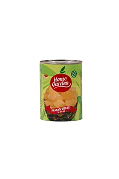 HOME GARDEN Compot Ananas Bucati 565G