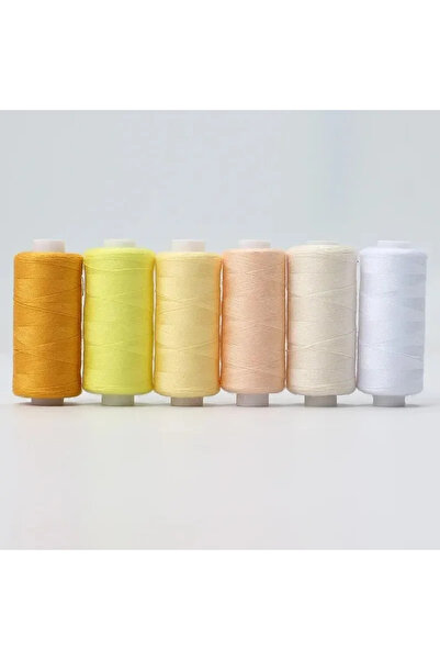 choice2 D 6pcs Assorted Colors Polyester Sewing Thread Set for DIY Domestic S...