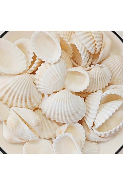 Choice 25PCS 25pcs Natural Sea Charms Suitable for DIY Jewelry Making, Seashe...