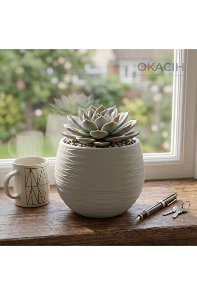 okacih Yuvarlak Saksı Modern Çizgili Dekoratif Çiçek Saksısı