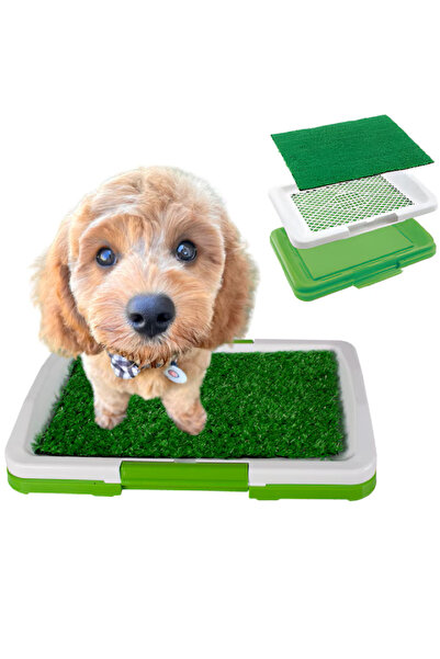 CasaDesteapta.ro Τουαλέτα για σκύλους και άλλα μικρά ζώα, με τεχνητό γρασίδι