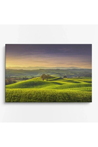 OEM Tablou pe pânză Peisaj rural din Toscana