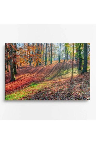 OEM Tablou pe pânză Pădure de toamnă cu brazi