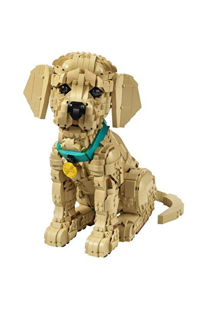 LEGO Icoane - Catelus Golden Retriever 11384, 2102 piese, vârsta 18+, Multicolor