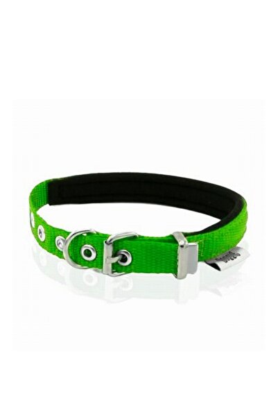 ALVERA COLLECTION Softly Supported and Woven Blue Cat Dog Collar Green