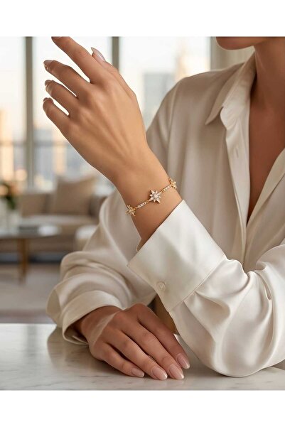 B&T Bujiteri North Star Model Zircon Stone Women's Steel Bracelet