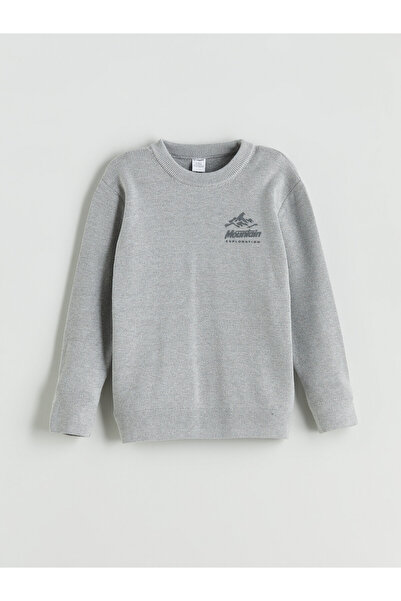 LC Waikiki Crew Neck Printed Boys' Knit Sweater