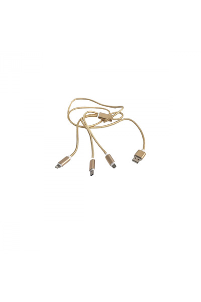 PARADOX SINCE 1992 Καλώδιο φόρτισης USB 3 σε 1