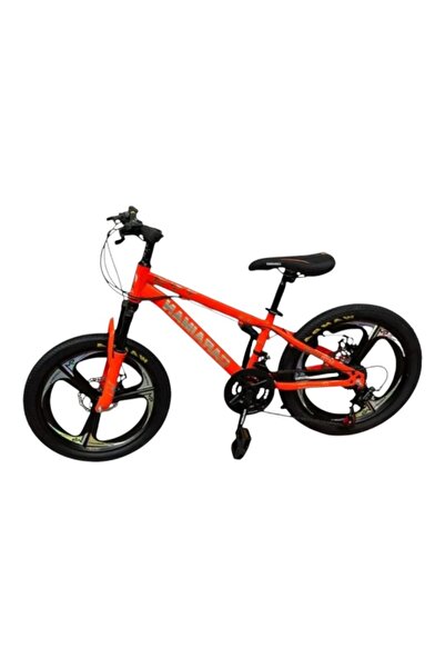 E-ANAMAG Caraiman 20 T3 (20 ιντσών) Ποδήλατο για παιδιά 6 και 12 ετών, Πορτοκαλί