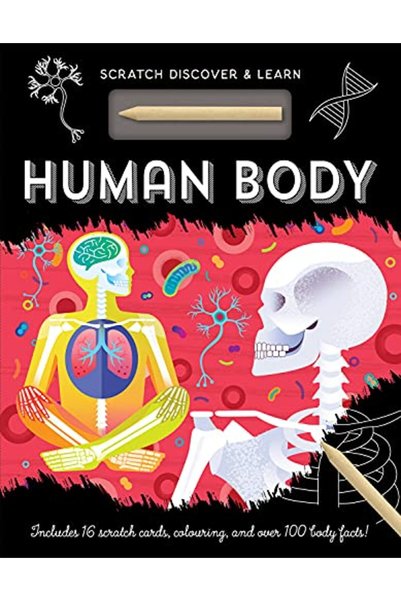 Imagine That Publishing Human Body