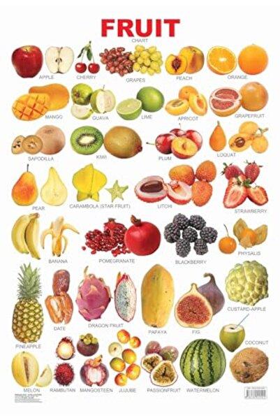 Dreamland Publications Fruits (All in One)