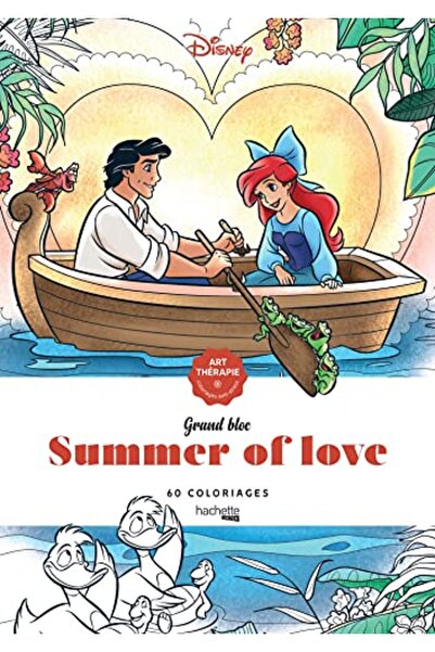 Hachette Grand Bloc Disney - Summer of Love